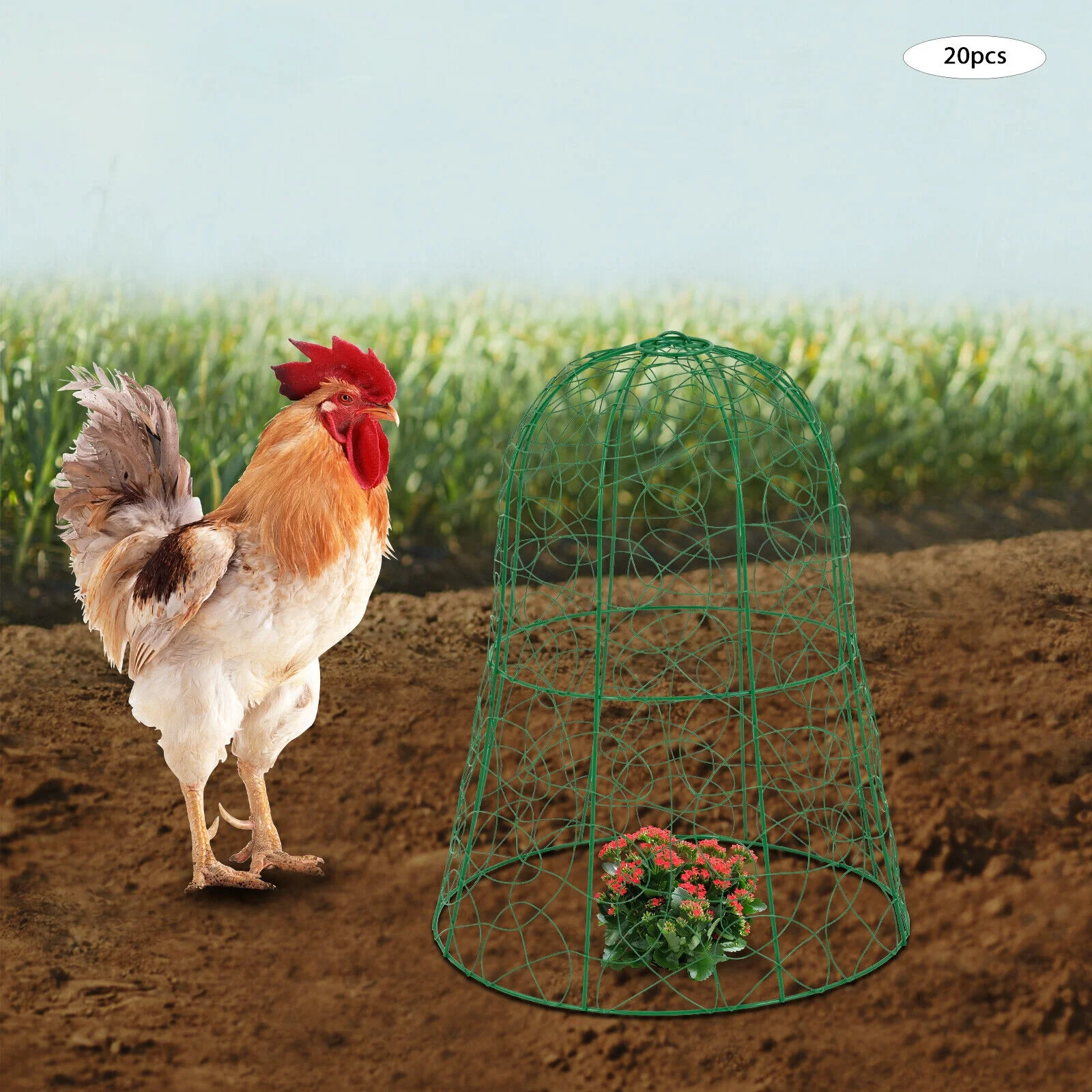 20PCS Garden Chicken Wire Cloche Plant Protector and Cover Iron Black/Green 12.99"H×15.75"