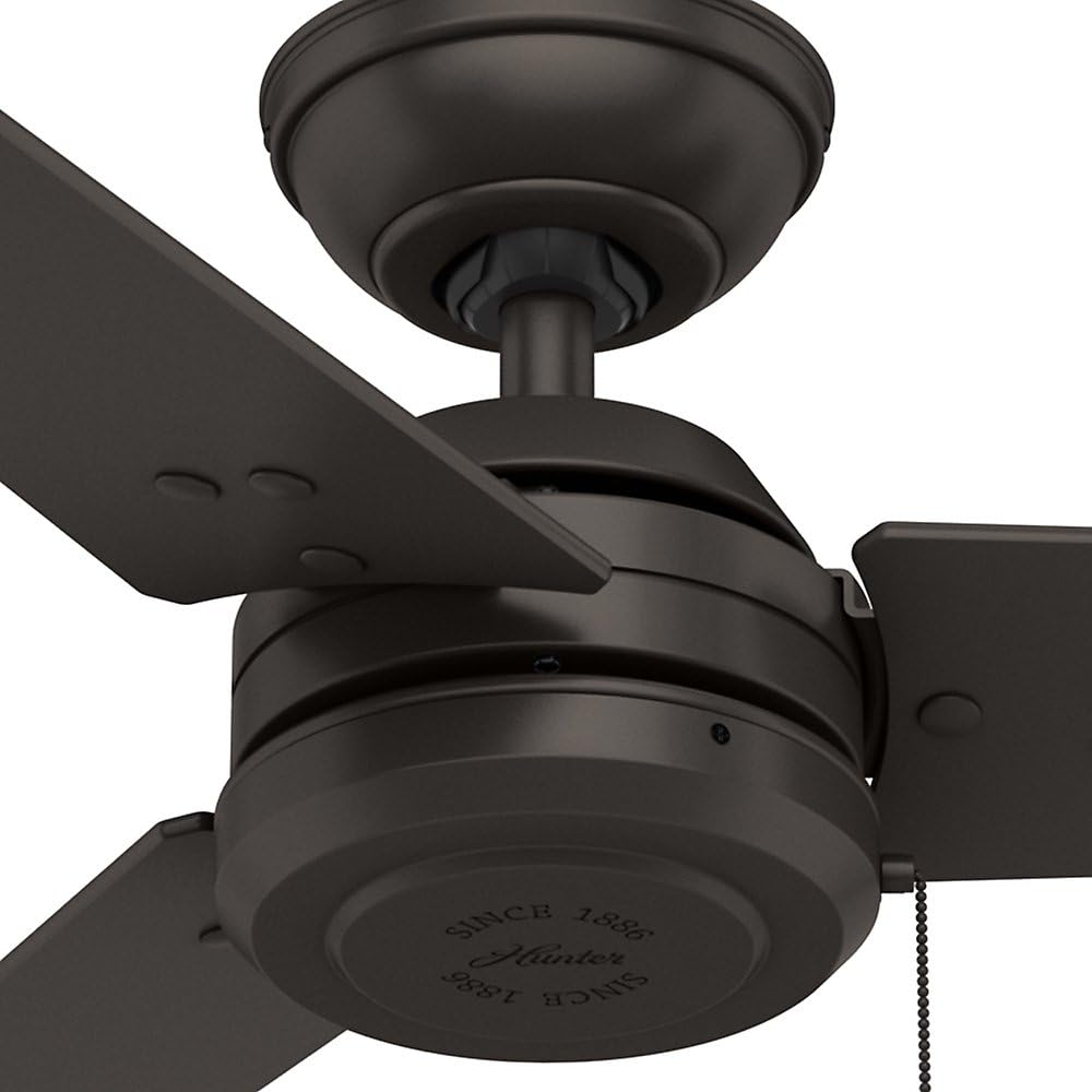 Hunter Cassius Indoor / Outdoor Ceiling Fan with Pull Chain Control, 52, Premier Bronze