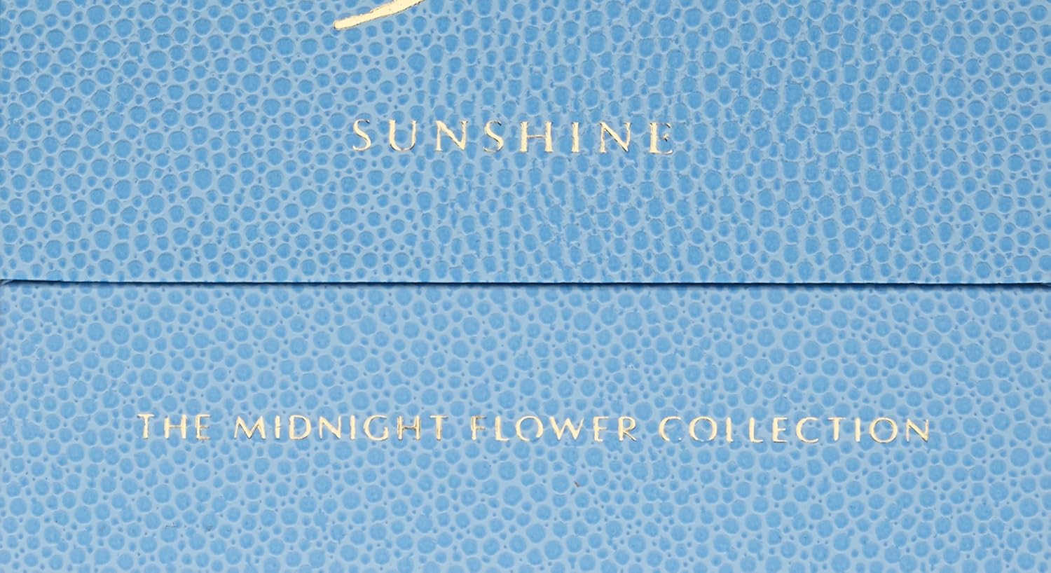 AMOUAGE Sunshine Women's Eau de Parfum Spray, 3.4 Fl Oz