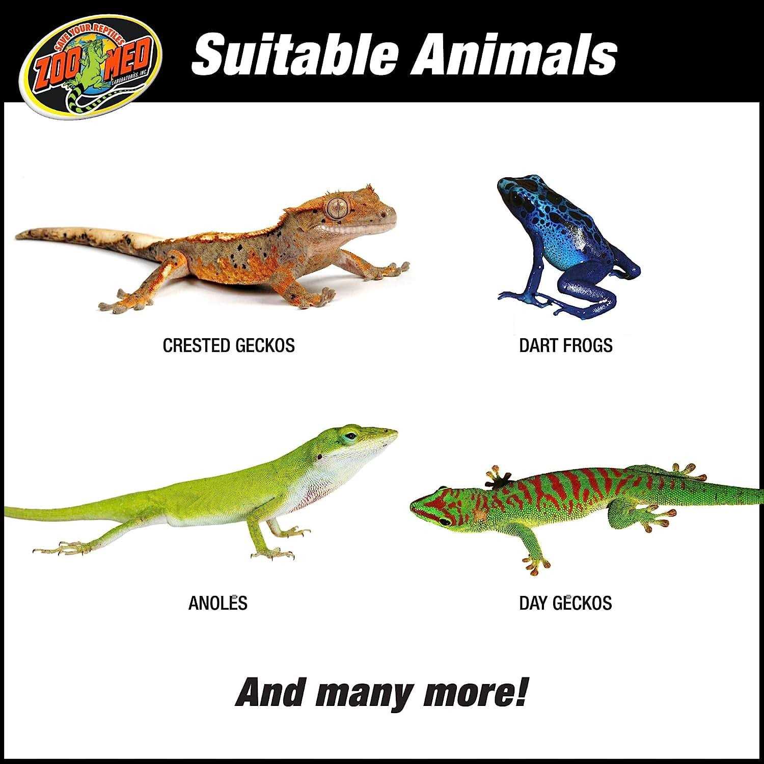 Zoo Med Naturalistic Terrarium Tropical Kit - Pet Supplies online store