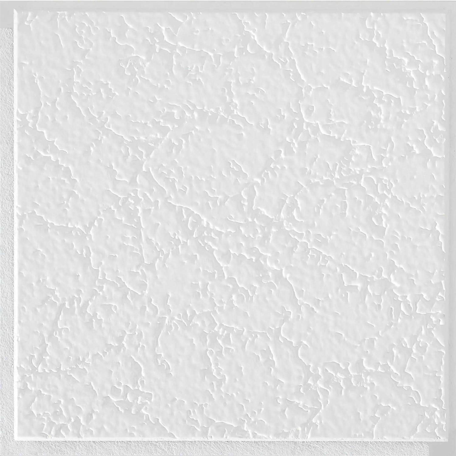 Armstrong 12 x 12-Inch White Textured Grenoble Ceiling - Shop Hardware Tools Online Store