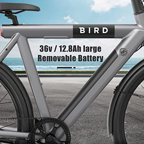 Bird Electric Bike for adults 500W Motor, 28" Mens EBike tp to 50MI - 36V Removable Battery, LCD Display, Disc Brake, manual throttle, Adults Electric Commuting Mountain Bicycle belt drive Black