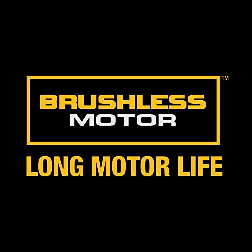 DEWALT 20V Max XR Impact Wrench Kit, Brushless, High Torque, Detent Pin Anvil, 1/2-Inch, Cordless (DCF899M1)