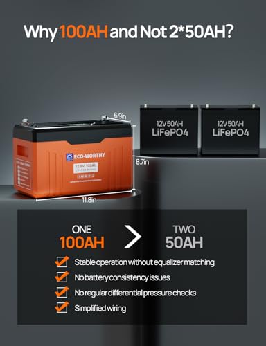 ECO-WORTHY 12V 100AH LiFePO4 Lithium Battery with Bluetooth, Max.1280Wh Energy, Low Temperature Protection, Group 24, Built-in 100A BMS, Perfect for Trolling Motor, RV, Boat, Solar Off-Grid