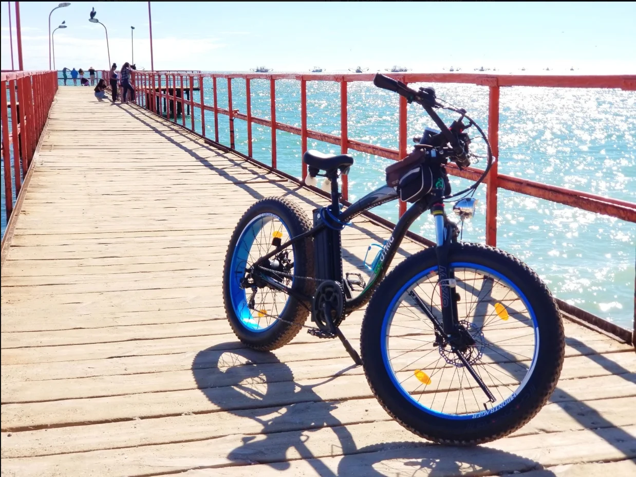 ECOTRIC 26 × 4" Fat Tire Electric Bike 750 W e-bike Mountain Beach Snow Bicycle W/ 7 Speeds Black Removable Lithium Battery 48 V 12.5 Ah Lithium battery Pedal Assist A-E516646
