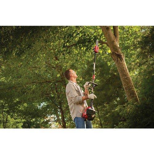 Trimmer Plus PS720 8-Inch Pole Saw with Bar and Chain