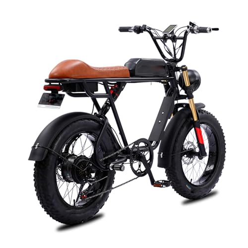 20" x 4.0 Fat Tire,Electric Bike for Adults,750W Brushless Motor Ebike, 28MPH,48V/13Ah Removable Battery,7 Speed Gear,Up to 25 Miles for Ebikes , All-Terrain E Bike for Mountains, Snow, Sand, Road