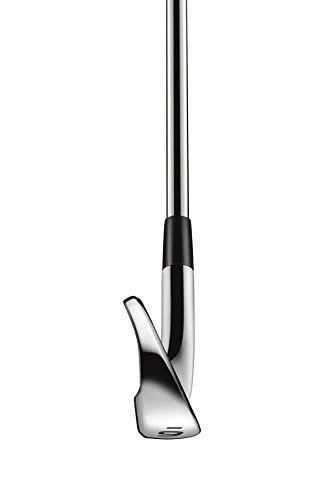 TaylorMade Golf RSI 2 Wedges Sw, Right Handed, Regular Graphite Shaft