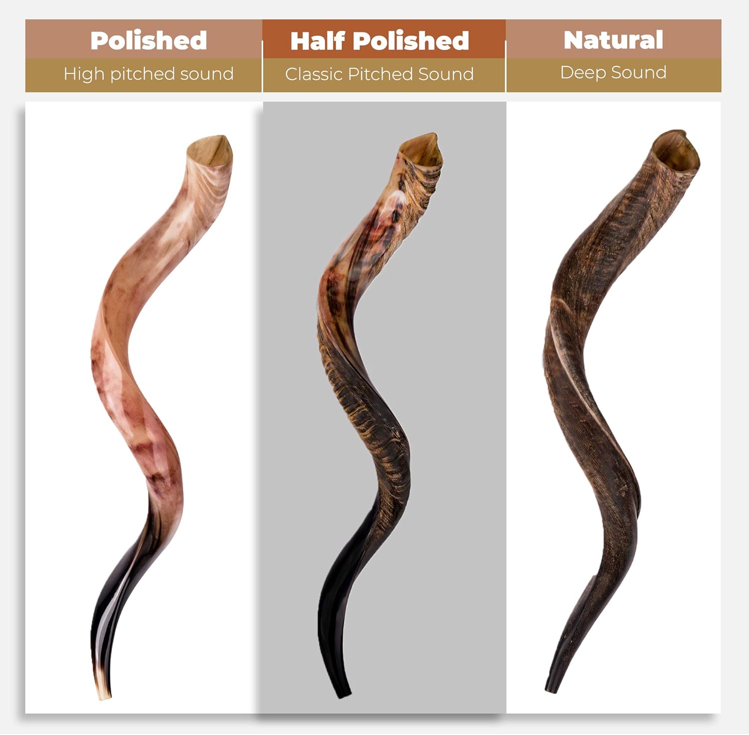 Shofar Horn Instrument - Shofar Angels Musical Instrument - Horn Gift From Israel - Kosher Jewish Shofar - Holy Instrument For Jewish - Traditional Israeli Horn - Half Polished (43"-45" - Super Jumbo)
