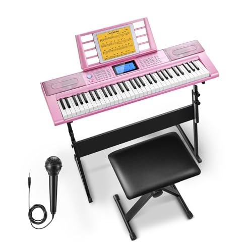 Donner 61 Key Keyboard Piano, Electric Piano Keyboard Kit with 249 Voices, 249 Rhythms - Includes Piano Stand, Stool, Microphone, Gift for Beginners, Black (DEK-610S)