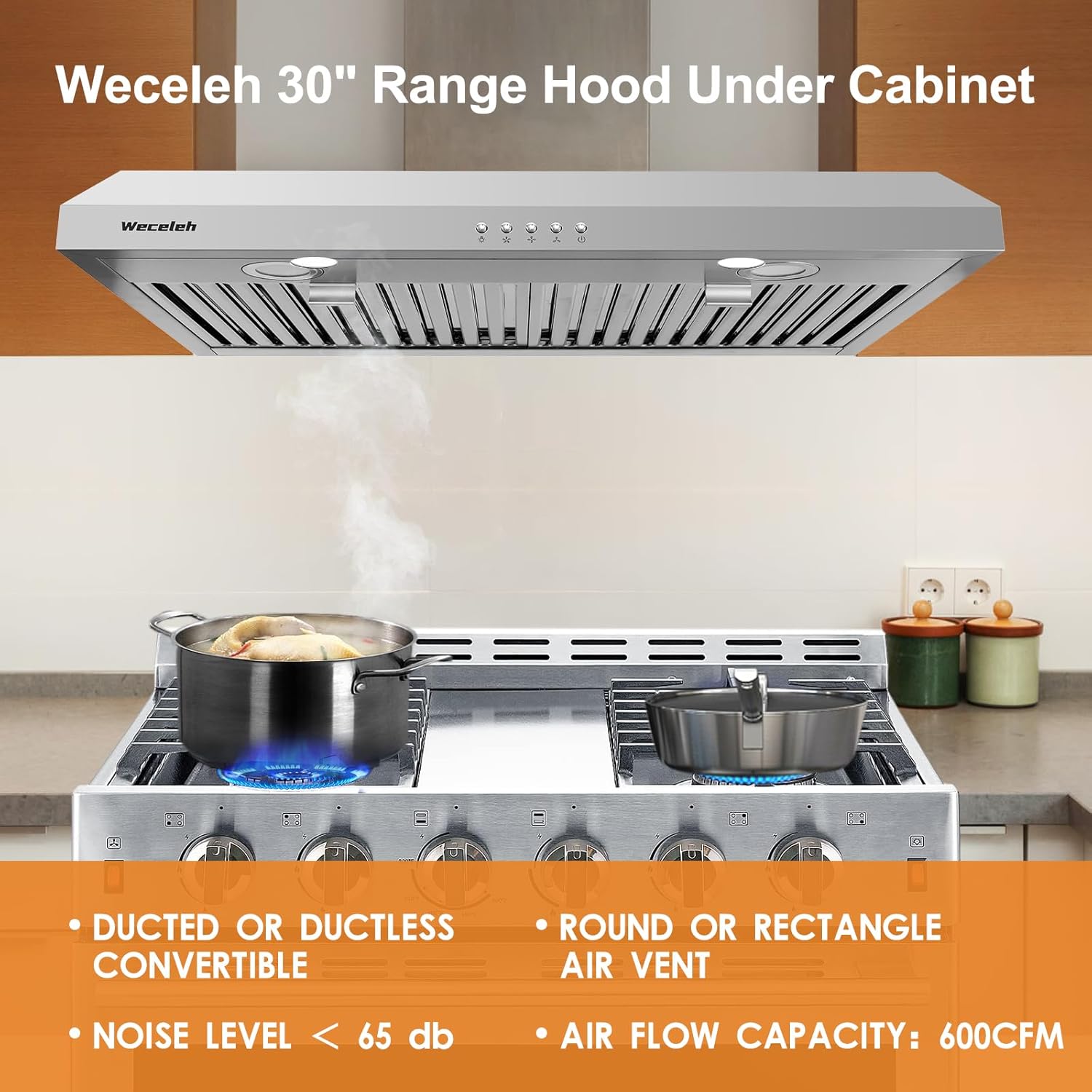 Range Hood 30 Inch Under Cabinet Range Hood,Stainless Steel Kitchen Hood,Ductless/Ducted Convertible,with Top/Rear Vent,3-speed Button control,600CFM,Baffle Filters,2 LED Lights