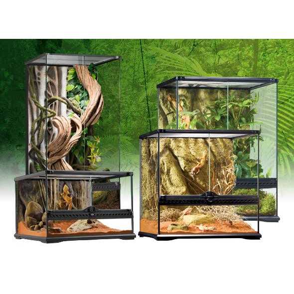 Exo Terra Glass Terrarium - Pet Supplies online store