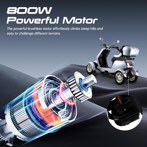 Mobility Scooters for Seniors & Adults, Heavy Duty 4-Wheel 3 Speed Medical Electric Powered Device 800W All Terrain, Elderly w/Rear Lockbox & Adjustable Seat (Type 3)