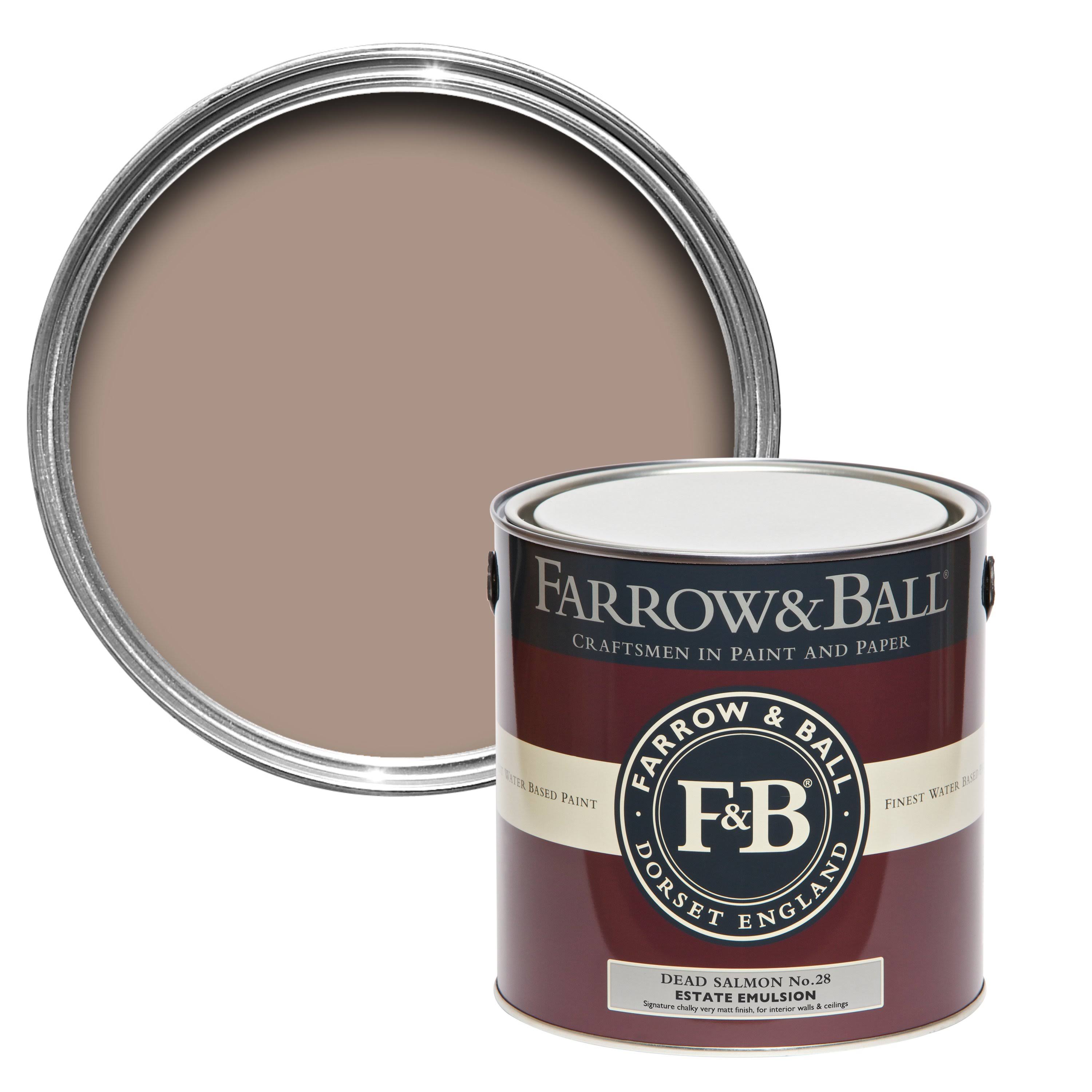 Farrow u0026 Ball Dead Salmon Paint US Gallon Modern Eggshell No.28