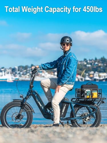HAOQI Electric Bike for Adults, 750w Brushless Motor,48V 27.8Ah Dual Battery for 90-120 Miles Range,20 * 4" Fat Tire Cargo Ebike, 450lbs Weight Capacity with Front and Rear Baskets