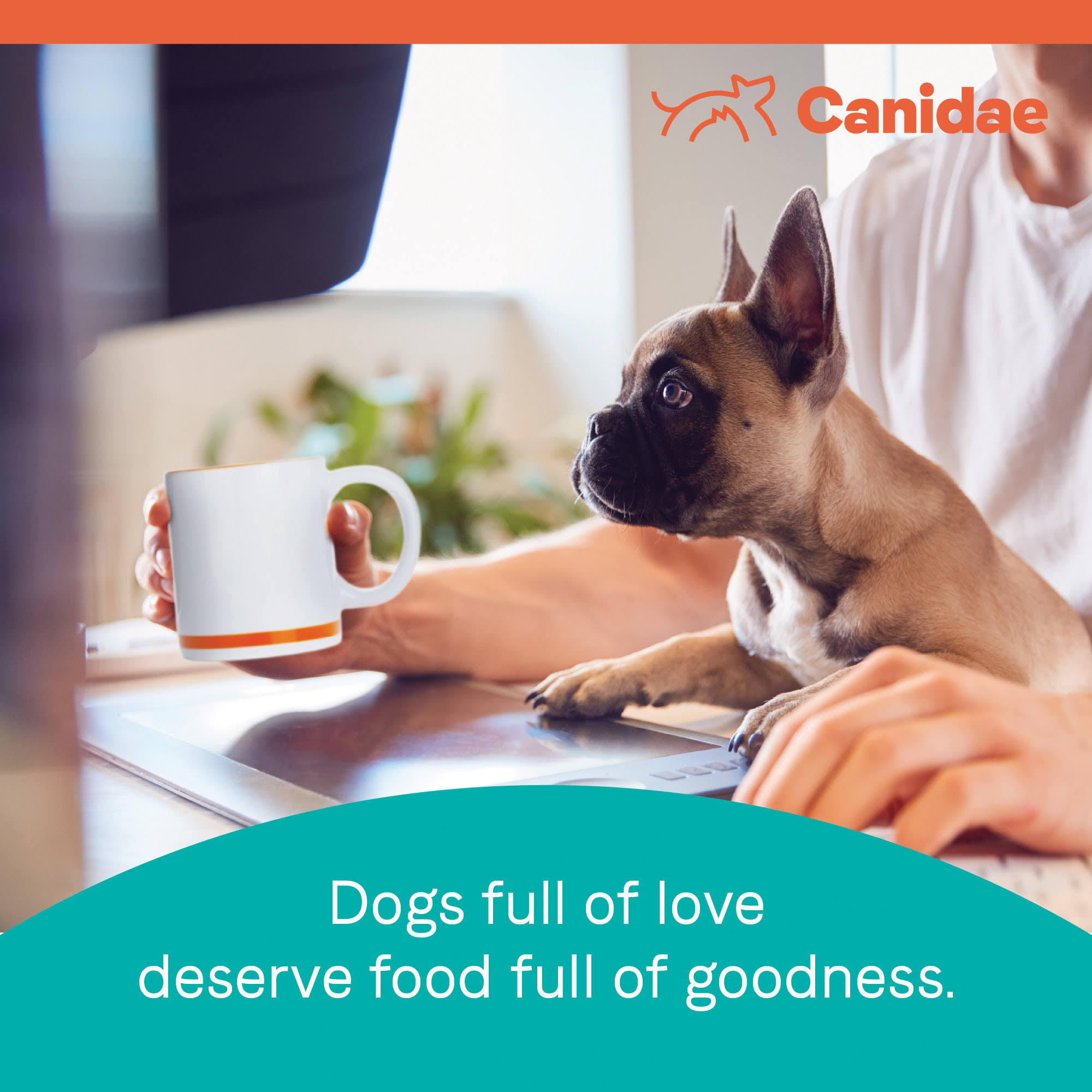 Canidae Pure Puppy Real Salmon u0026 Oatmeal Recipe Dry Food, 24 lbs.