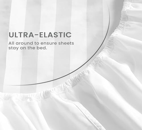 CASA ESENCIA 100% Egyptian Cotton Sheets King Size – 1000 Thread Count White Striped King Bed Sheet – 4 Piece Bedding Set - Extra Deep Pocket Fits Upto 17” – White Stripe Hotel Luxury Sheets