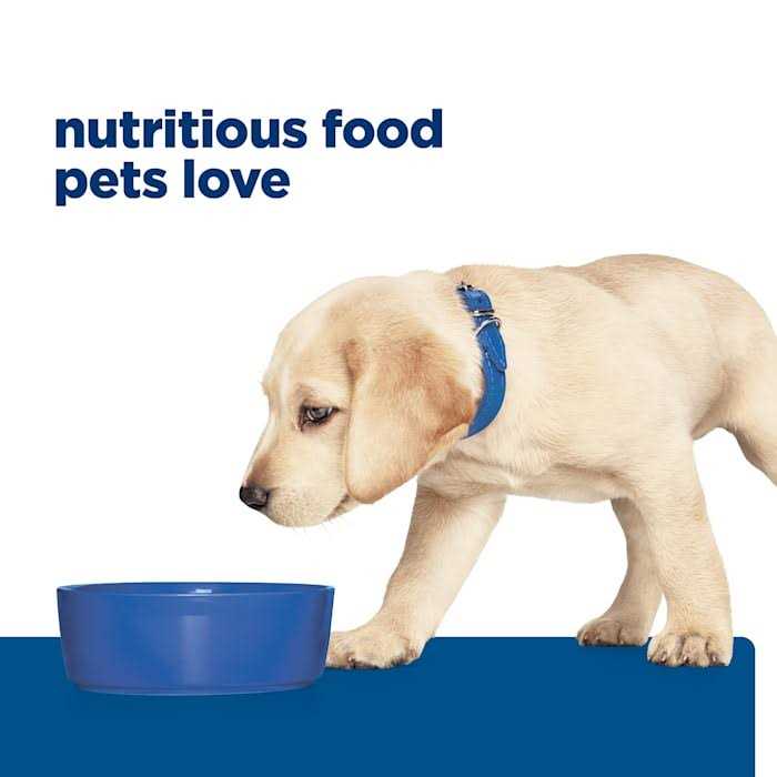 Hill's Prescription Diet Derm Complete Skin &amp; Food Sensitivities Dry Dog Food - Pet Supplies online store