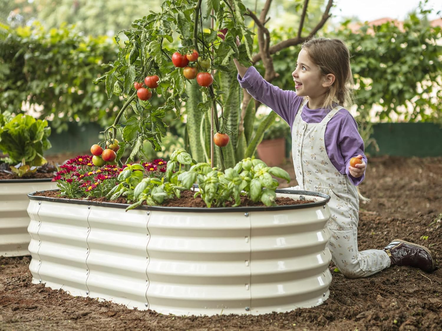 Galvanized Raised Garden Beds Outdoor // 4×2×1 ft & 8×4×1 ft Planter Raised Beds for Gardening, Vegetables, Flowers // Large Metal Garden Box (White) // Patent Pending Tool-Free Assembly