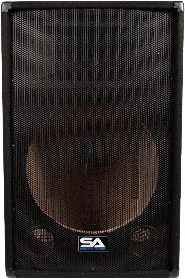 Seismic Audio SA-15T_Empty Empty 15-Inch PA/DJ Speaker Cabinet Band Live Sound