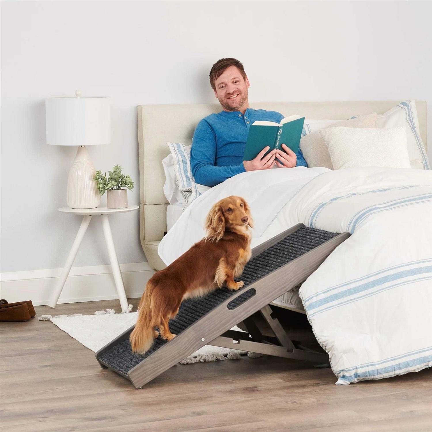EveryYay Rise &amp; Climb 39.37 x 15.75 x 3.94 Indoor Pet Ramp - Pet Supplies online store