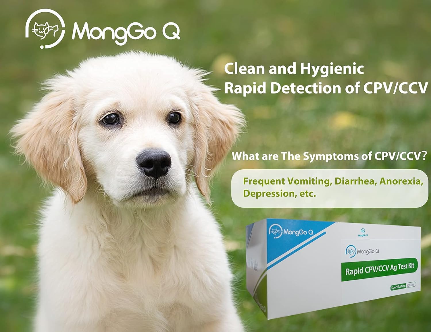 MONGGO Q Rapid Ag Detection of Canine Mouth and Nose Secretions Testing Kit for Dogs(Pack of 10)