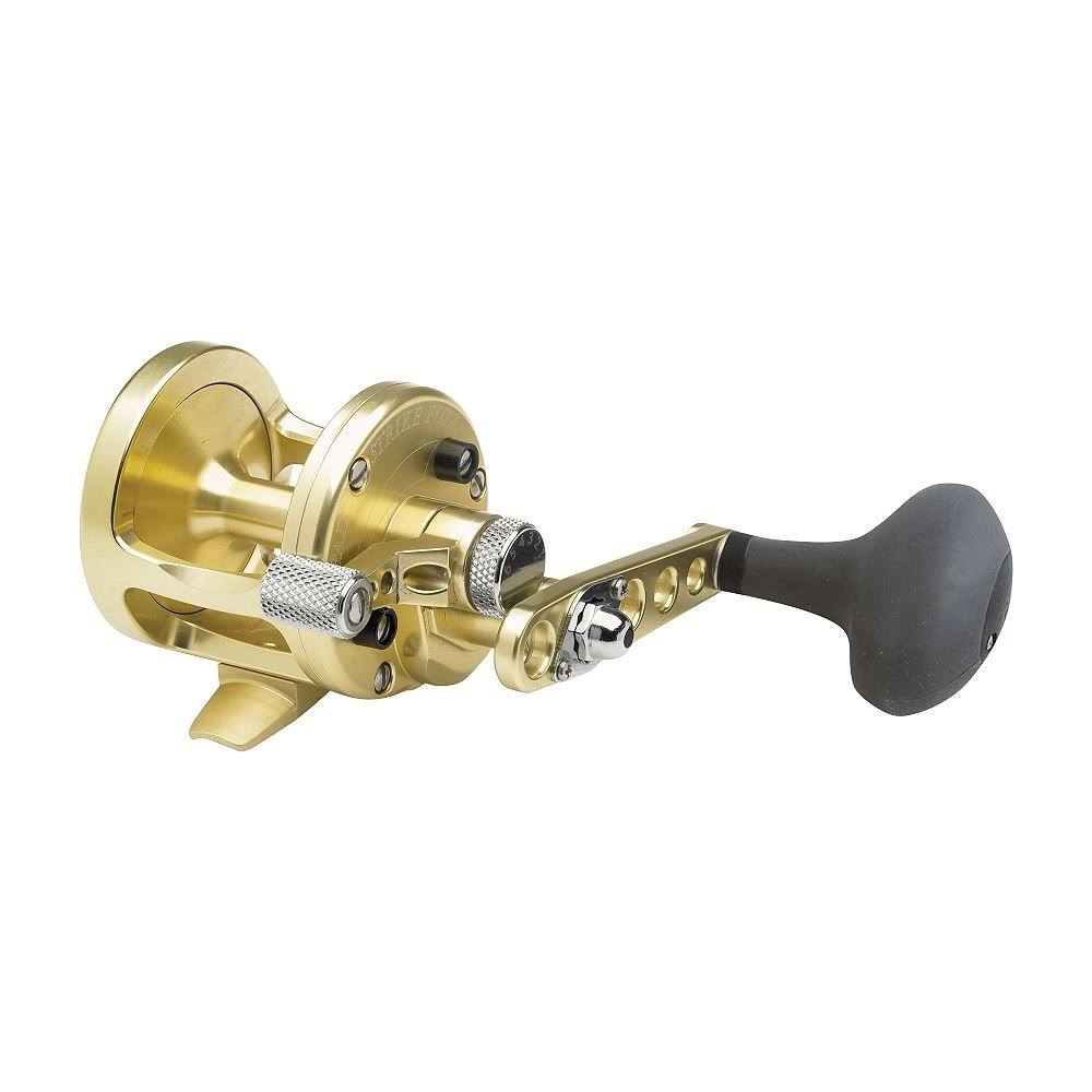 Avet Casting Reel - Gold