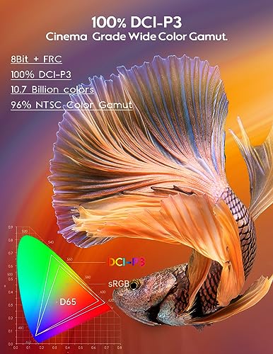 ZSCMALLS 15.6'' 4K OLED Portable Monitor for Laptop, 3840P×2160P