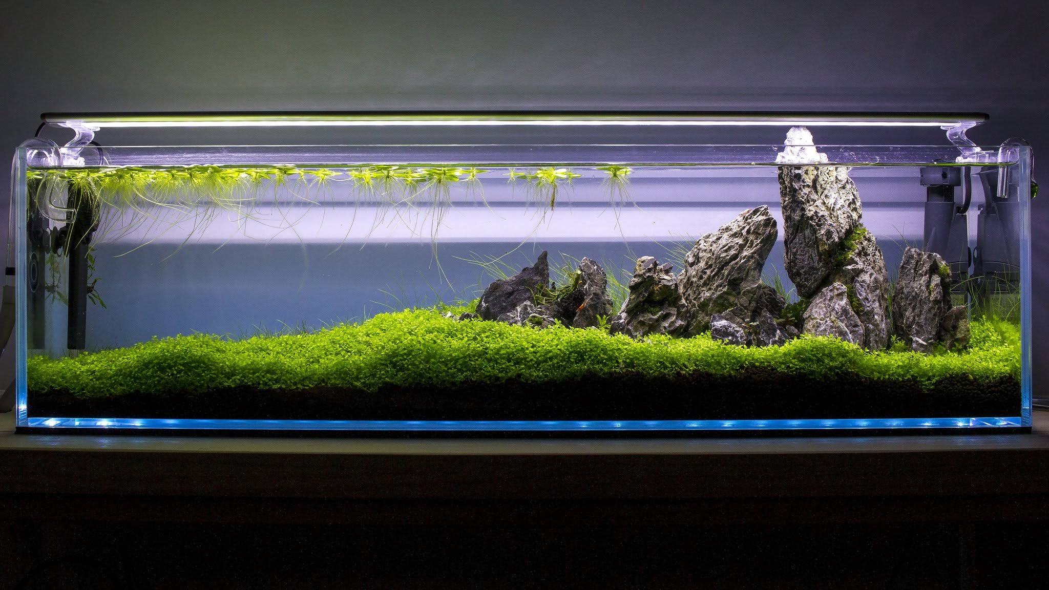 HCA-6G (6.5 gal) Rimless Low-Iron Aquarium - Aquatop