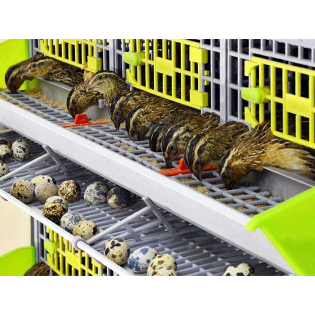 Cimuka Quail Breeding Cage Indoor 3 Layer Stackable Quail Coop - Pet Supplies online store