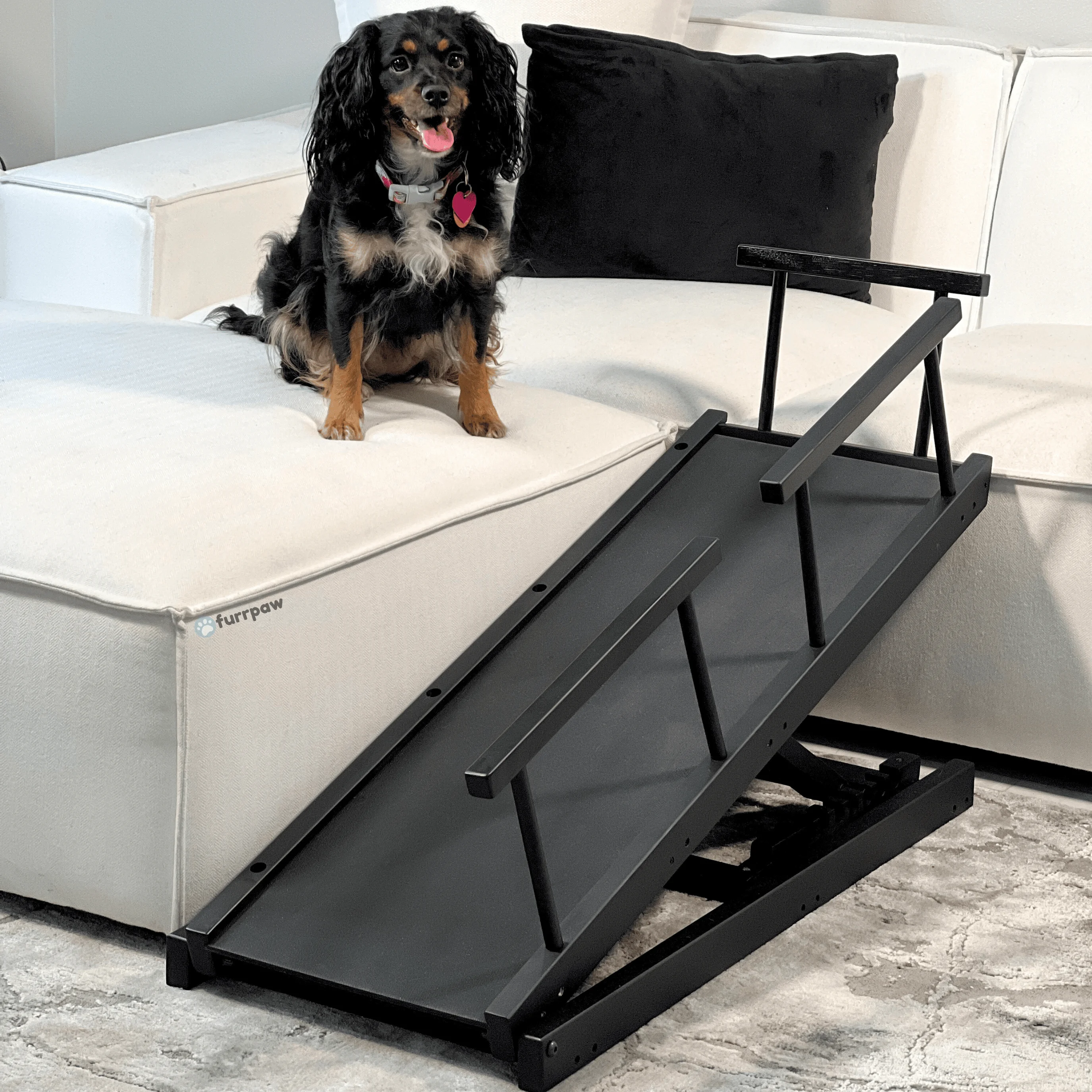 Dog Ramp for Couch - Adjustable 10" to 20" - Ramp for Dogs to Get On Bed - Pet Safe Paw Grip Anti Slip Doggie Puppy Stairs Small/Medium/Old Cats - Portable Car Steps - Ramps Small Dogs 80 lbs Max