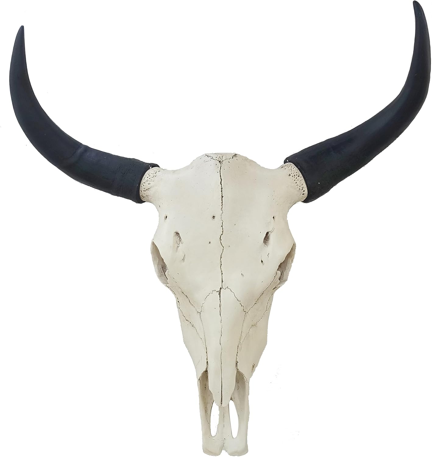 shankala Bison Bull Skull Wall Decor Cow Skull Head LongHorn Sculptures Wall Plaque Crafts Ornaments Bull Horns Decor Environmental Friendly and Resin Skull Sculpture Wall Hanging