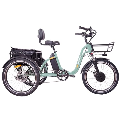 DWMEIGI Step Thru Electric Tricycle for Adult, 750W Motor 48V 16AH Battery 65 MI Range, Full Suspension E trikes with Turn Signal, Reverse Gear