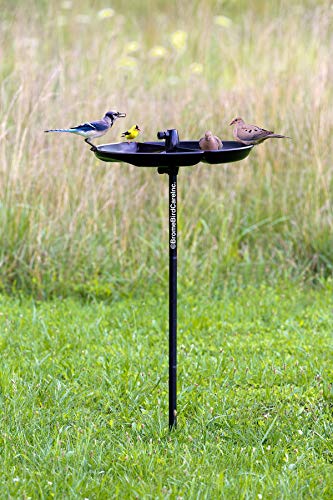 Squirrel Buster Plus Squirrel-proof Bird Feeder w/Cardinal Ring and 6 Feeding Ports, 5.1-pound Seed Capacity, Adjustable, Pole-mountable (POLE ADAPTOR SOLD SEPARATELY), Green