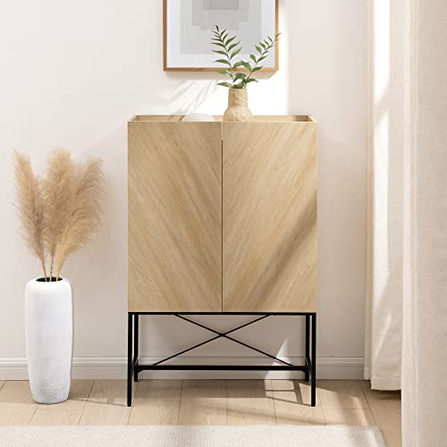 Walker Edison Livv Contemporary 2-Door Tall Accent Cabinet, 47 Inch, Dark Walnut