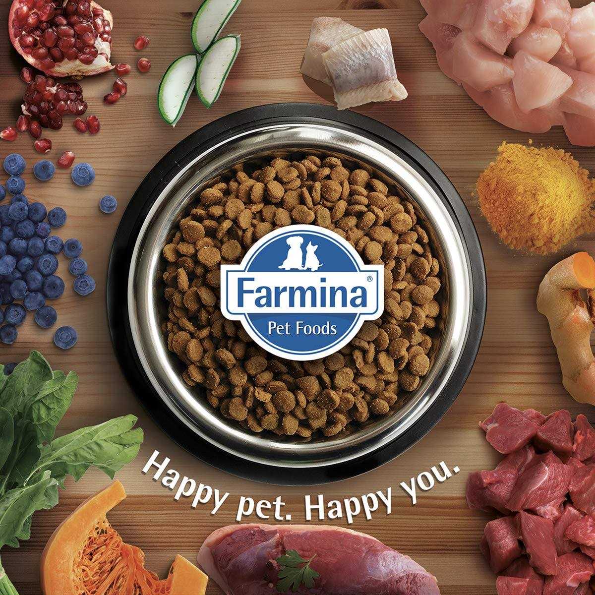 Farmina N&amp;D Ancestral Grain Chicken &amp; Pomegranate Dry Dog Food - Pet Supplies online store