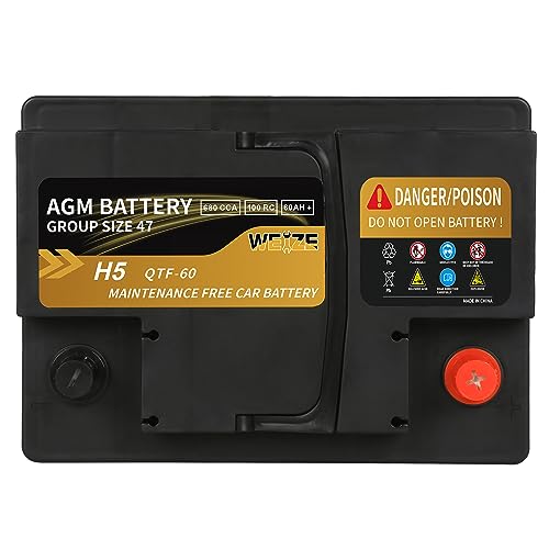 Weize Platinum AGM Battery BCI Group 24F Automotive Battery, 120RC, 710CCA, 36 Months Warranty