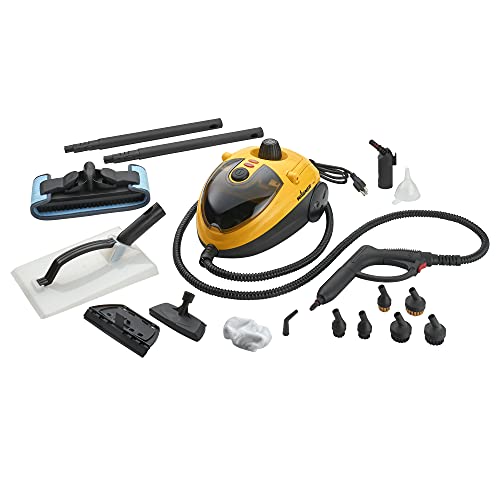 Wagner Spraytech C900054 905e AutoRight Multi-Purpose Steam Cleaner