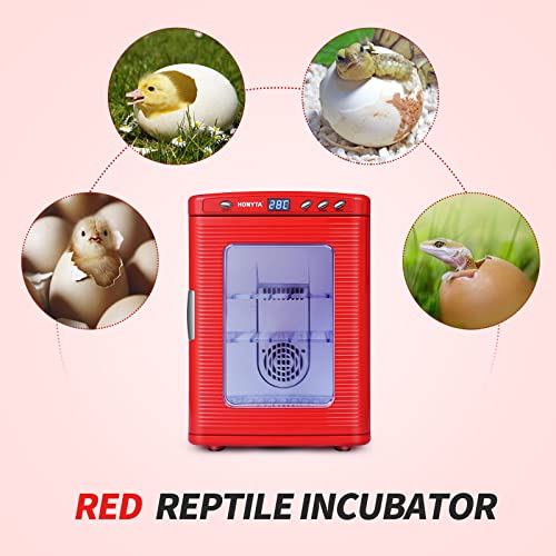 Incubators for Hatching Eggs, 25L Portable Reptile Scientific Lab Incubator with 5°C-60°C, 12V/110V Heating and Cooling for Small Reptiles (Black)
