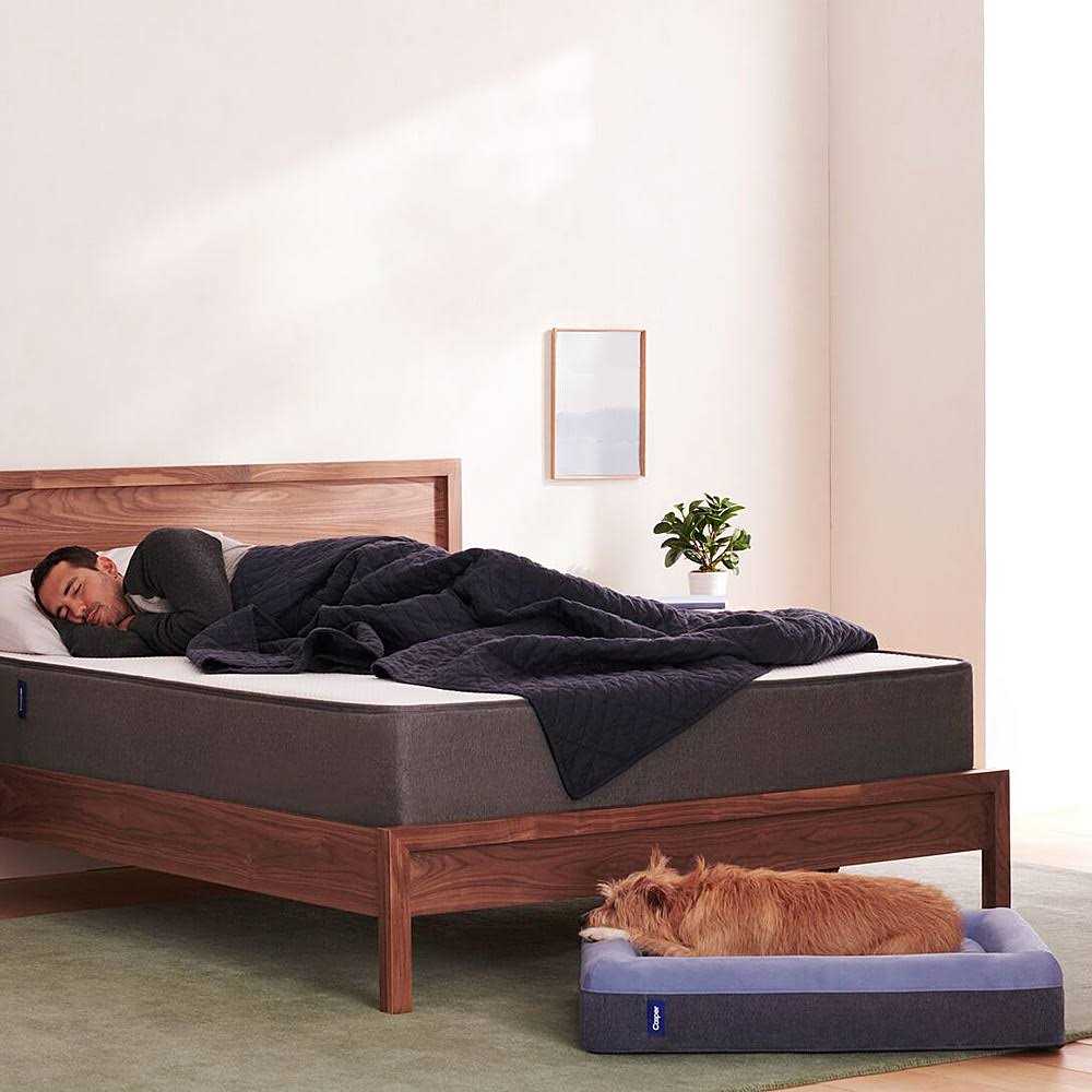 Casper Dog Bed - Pet Supplies online store