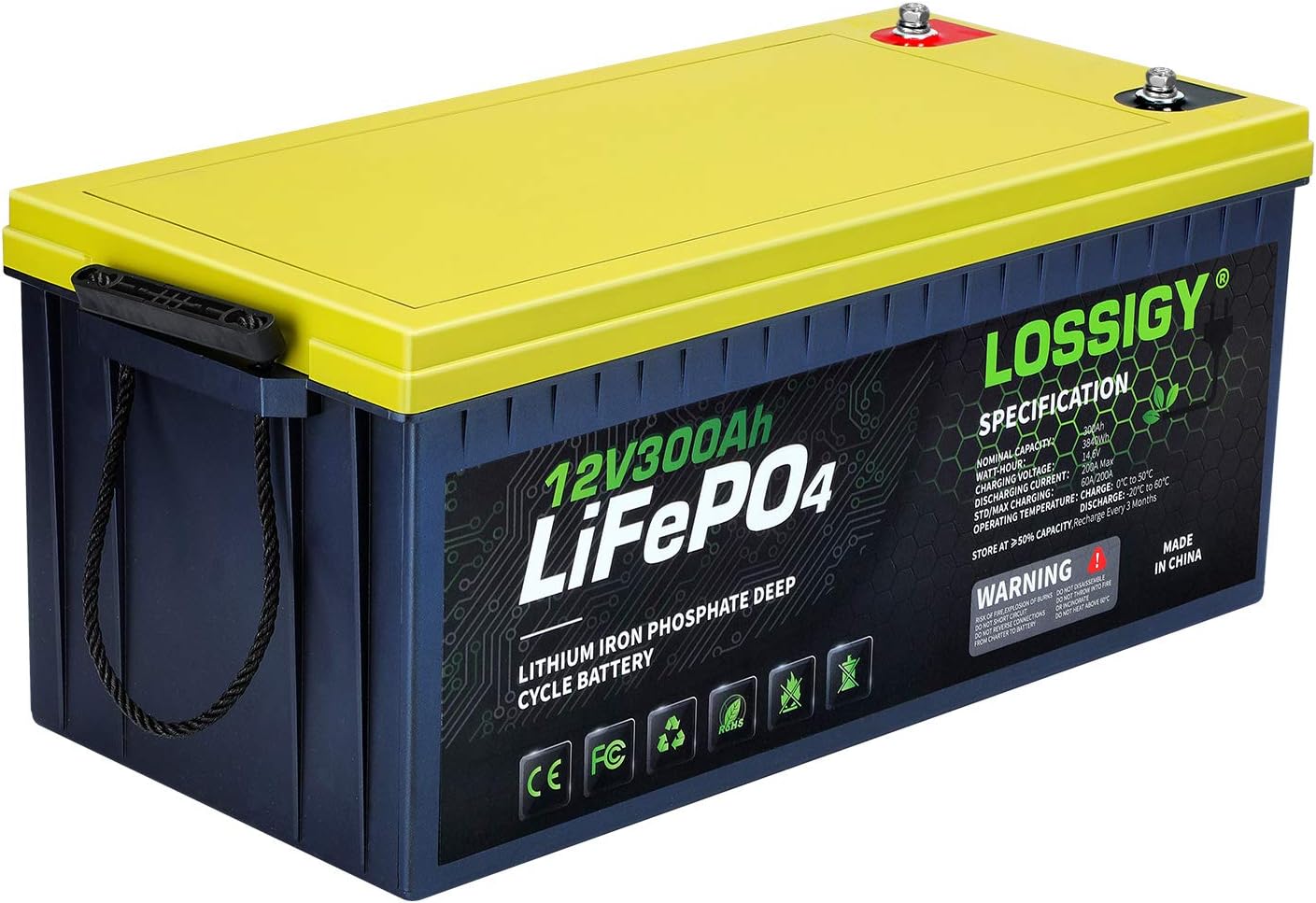 LOSSIGY LiFePO4 Battery 12V 200Ah Deep Cycle Lithium Ion Battery, Built-in 100A BMS, 4000+ Cycles, 280Amp Max, Perfectly replace all RV, Solar systems, Marine Batteries Application, Maintenance-Free