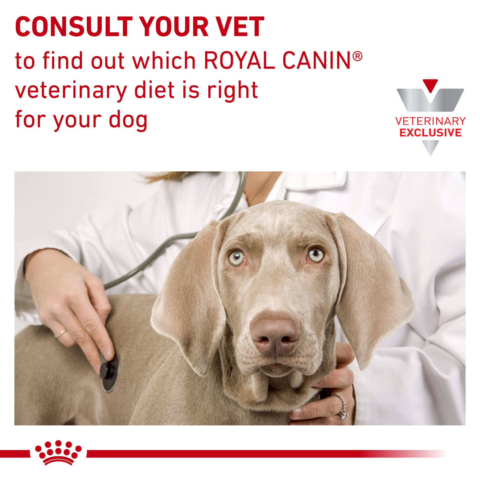 Royal Canin Veterinary Diet Hydrolyzed Protein Adult PS Dry Dog Food, 24.2-lb
