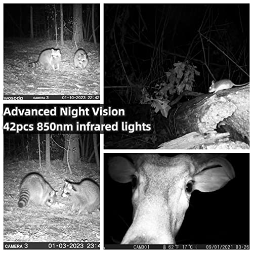 Trail Cameras 2 Pack 24MP 1080P HD, Waterproof Game Camera Motion Activated with Fast Trigger Time Infrared Night Vision, Hunting Camera for Outdoor Wildlife Monitoring