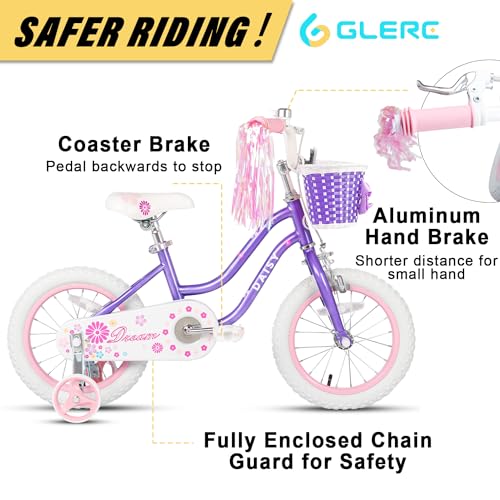 Glerc Daisy 12 14 16 Inch Girl Princess Style Bike for 2-7 Years Old with Training Wheels & Basket & Streamers, Multiple Colors