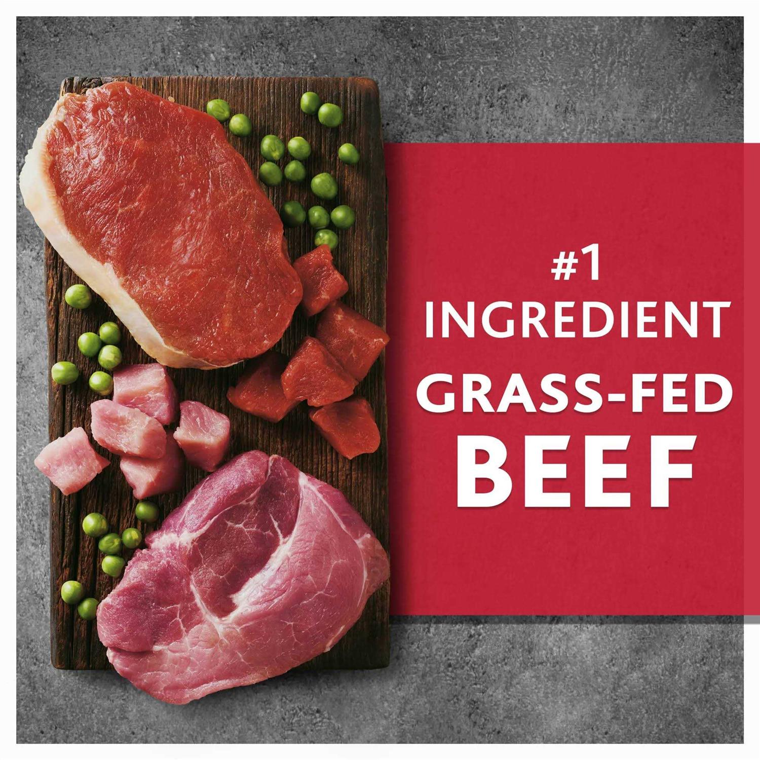 Pure Balance Wild &amp; Free Beef &amp; Wild Boar Recipe Dry Dog Food - Pet Supplies online store