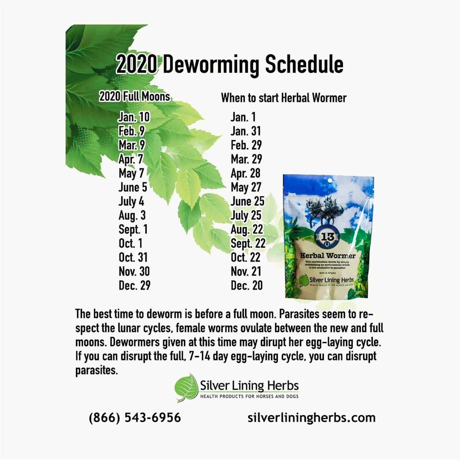 Silver Lining Herbs Herbal Wormer for Horses - Pet Supplies online store