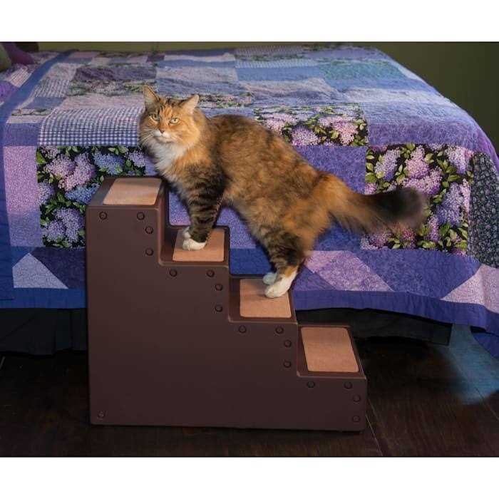 Pet Gear Easy Step IV - Pet Supplies online store
