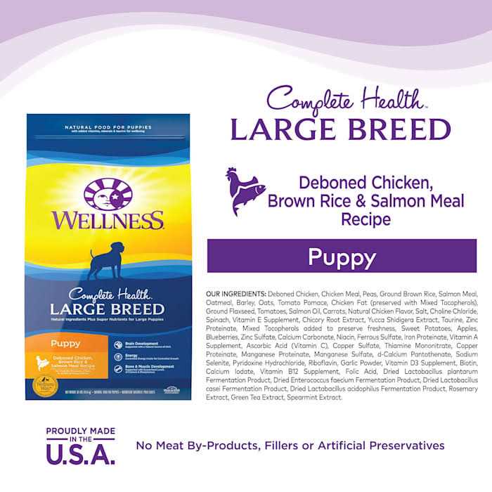 Wellness Complete Health Large Breed Puppy Dry Dog Food - Pet Supplies online store
