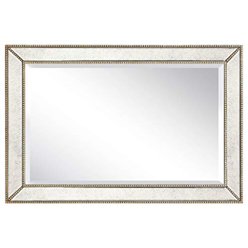 Empire Art Direct Solid Wood Frame Wall, 1"-Beveled Center Antique Mirror for Bathroom, Bedroom, Living Room, Ready to Hang, 24" x 54", Champagne