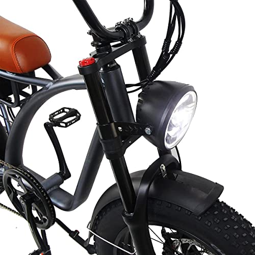 SMLRO Dual Motor 2000W Retro Two-Person Electric Bicycle, 7-Speed 20" Tire Electric Snow Mountain Shopping Ebike, 48V 18Ah E-Bike with Rear Turn Signal
